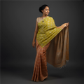 Handwoven Cotton Sari - SPD_017