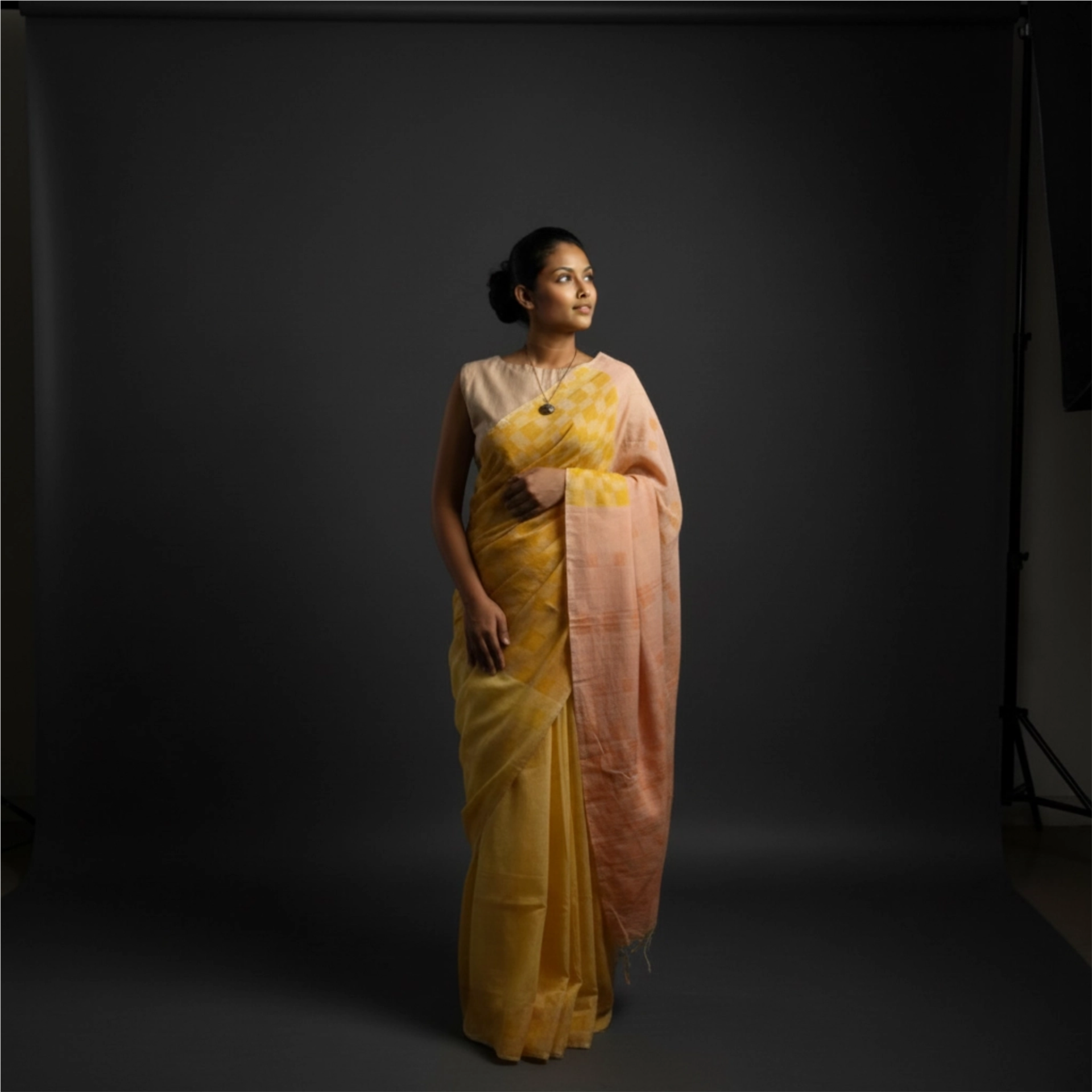 Handwoven Cotton Sari - SPD_018