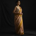 Handwoven Cotton  Sari - SPD_011